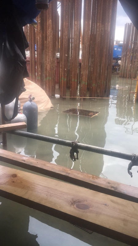 Diver submerging at pier